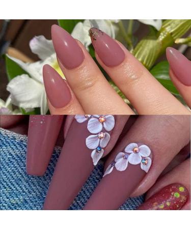 Lofuanna 17g Professional Bean Paste Color Acrylic Powder - Salon Quality Nail Extension System (06) - Buy Online on GoSupps.com