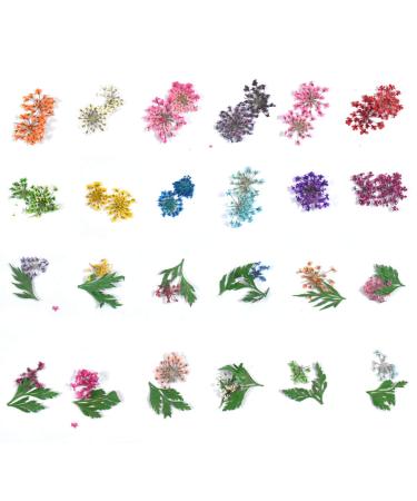 Dokpav 2 Boxes Dried Flowers for Nail Art - 24PC Green Leaves & Real Flower Set with Curved Tweezers | 3D Nail Art Accessories for Stunning Nail Decor - Buy Online on GoSupps.com