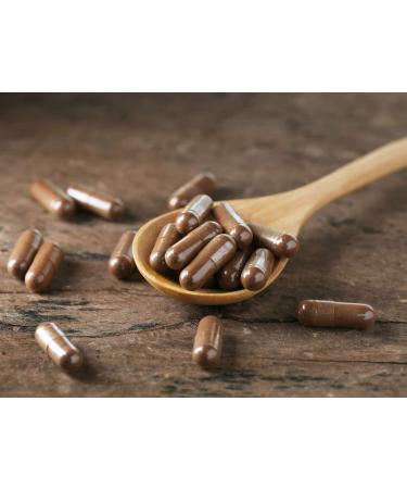 Buy Myvial Bio Reishi Capsules - 120 Vegan 400mg Capsules | Natural Ganoderma Lucidum | 60-Day Supply | Plastic-Free | International Shipping - Buy Online on GoSupps.com
