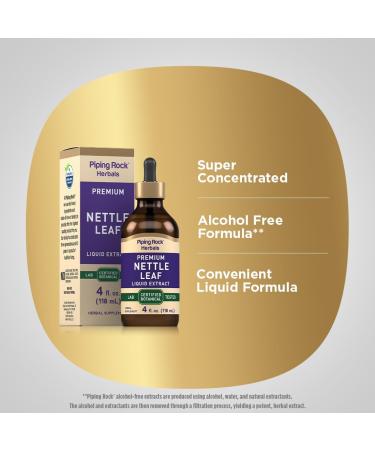 Piping Rock Nettle Leaf Extract Liquid | 4 Fl Oz | Herbal Botanical Tincture | Alcohol Free Drops | Urtica Dioica | Non GMO Gluten Free Supplement - Buy Online on GoSupps.com