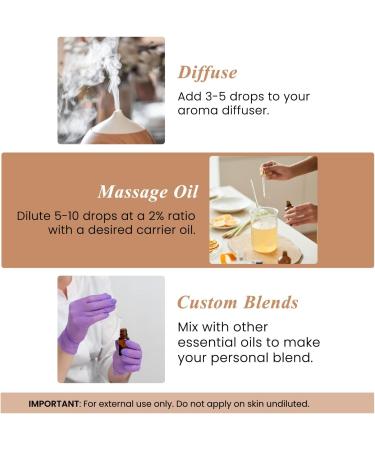 Handcraft Blends Spicy & Sweet Set: Clove and Orange Essential Oils (2 x 4 Fl Oz) 100% Pure & Natural for Diffuser Aromatherapy and DIY Projects - Buy Online on GoSupps.com