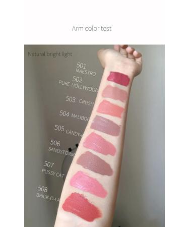 Allen Shaw Nude Matte Liquid Lipstick - Velvet Waterproof Lip Gloss Set for Women | Long Lasting Non-Stick Moisturizing Makeup Gift - Buy Online on GoSupps.com