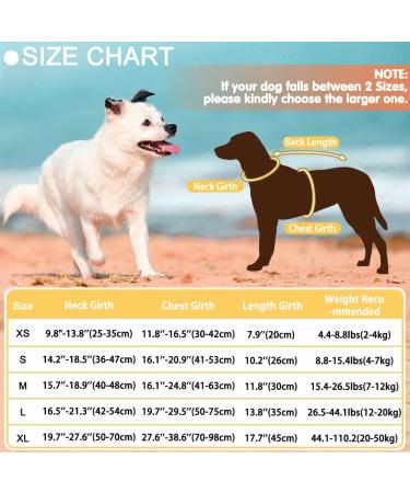 Buy Emust Dog Vest for Swimming & Boating - High Buoyancy Ripstop Life Jacket for Small & Medium Breeds (Medium Fish Olive Green) - Buy Online on GoSupps.com