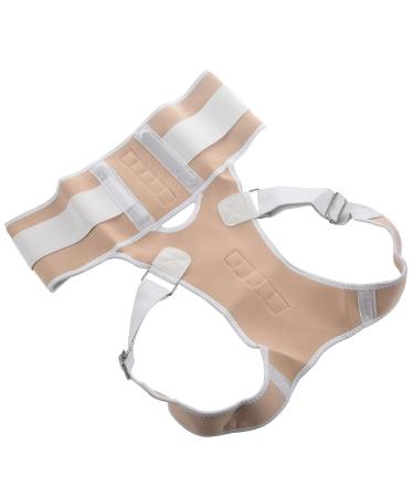 Jalzdieod Orthopedic Back Support Magnetic Posture Corrector-L 243224A2 - Buy Online on GoSupps.com