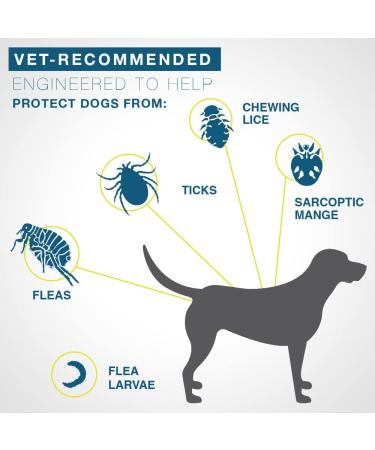 Seresto Flea and Tick Collar for Large Dogs - 8-Month Protection Over 18 lbs - Buy Online on GoSupps.com