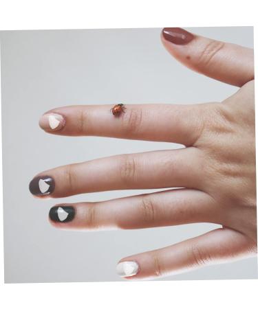 VINTORKY 1 Glass Chip German Glass Glitter Nail Filler Nail Art Charms Flower Bulk Glass Vase Nail Accessories Crushed Glass for Crafts Nail Crushed Glass Nail Stickers Irregular 0.5X0.3cm transparent - Buy Online on GoSupps.com