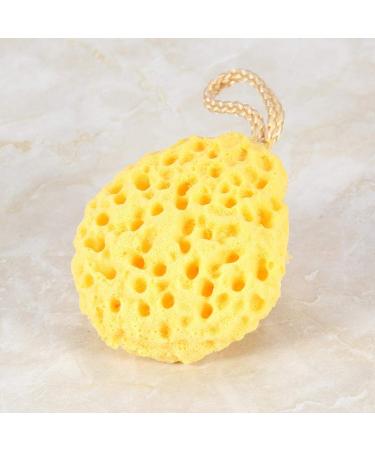 Buy Asixx Hydrophilic Polyurethane Shower Sponge | Soft & Heat Resistant Bathing Sponge in 3 Colors - Easy to Wash & Dry - Buy Online on GoSupps.com