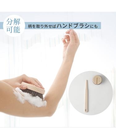 Marna B662 Hinoki Long Handle Body Brush with Horse Hair - Made in Japan | Back Brush for Easy Washing | Removable and Patterned - Buy Online on GoSupps.com