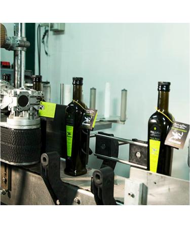 OROZUMO | Extra Virgin Olive Oil | Picual Variety + Arbequina | 5 Liter Bottle | Sierra M gina Ja n Andalusia - Buy Online on GoSupps.com