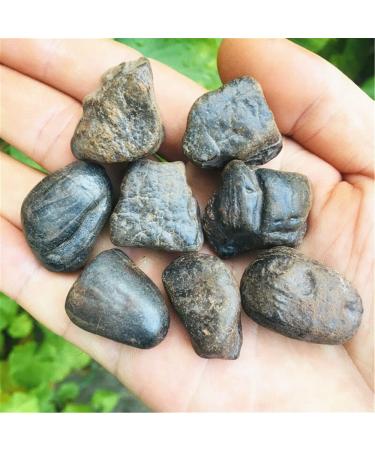 100g Natural Iron Silicon Meteorites Rough Stones Minerals Specimen Collection Meteorite Home Decoration Gift Crystal (Size : 100g)