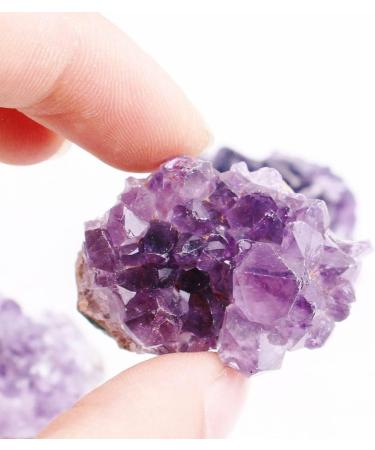 Natural Crystal Rough 100/200g Mini Natural Amethyst Cluster Geode Pendant Purple Quartz Raw Point SpecimenHome DecorStones (Color : 50g) (Color : 50g) - Buy Online on GoSupps.com
