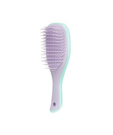 Tangle Teezer Mini The Ultimate Detangler Hairbrush |Gentle on Wet Hair | Two-Tiered Teeth & Comfortable Handle | Ideal for Kids And Travel | Reduces Knots & Breakage | Wisteria Leaf - Buy Online on GoSupps.com