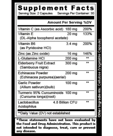 10-in-1 Immune Support Supplement with Vitamin C, E, B6, Zinc, Elderberry, Garlic, Echinacea & Turmeric - Immunity Defense Booster for Adults - 60 Veggie Capsules - Buy Online on GoSupps.com