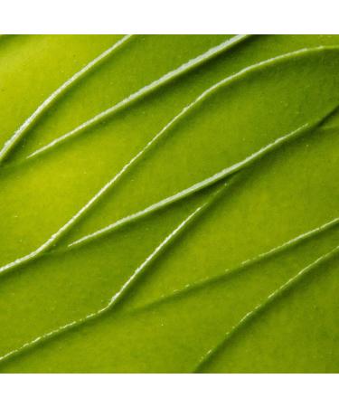 Kate Somerville ExfoliKate Intensive Exfoliating Treatment 0.5 Fl Oz - Salicylic & Lactic Acid Facial Scrub for Texture & Pore Improvement - Buy Online on GoSupps.com