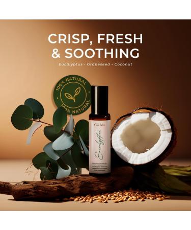 Eucalyptus & Stress Relief Roll On Set - Essential Oils Aromatherapy Roll On with Essential Oil Set - 2x0.34 fl oz - Gya Labs - Buy Online on GoSupps.com