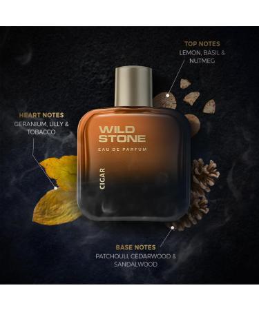 Wild Stonee Cigar Eau De Parfum for Men 100ml|Spicy and Woody Long Lasting Perfume for Men| Dailywear Fragrance|Premium EDP - Buy Online on GoSupps.com