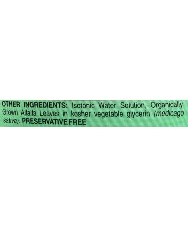 World Organics Chlorophyll Supplement 100mg - 16 Fl Oz (Pack of 1) - Buy Online on GoSupps.com