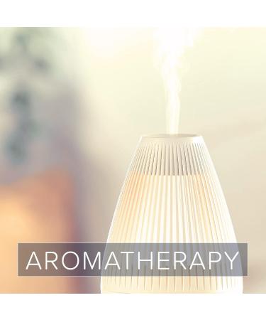 Naissance Raspberry Seed Oil (No. 251) 225ml - Natural Vegan - Nourishing - For Face Hair Skin Cosmetic - Vegan & Non-GMO - Buy Online on GoSupps.com