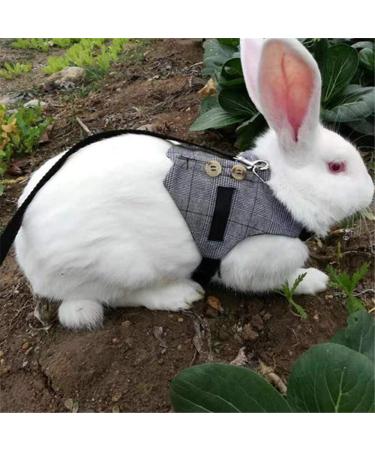 Rabbit Harness Multipurpose Adjustable Soft Pet Rabbit Walking Harness Leash Lead Gentlemanly Style Bunny Vest for Small Animal (M) - Buy Online on GoSupps.com