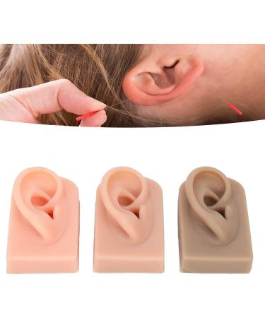 Soft & Flexible 3-Part Silicone Right Ear Model - Reusable 3 Colors Easy to Use - Ideal for eCommerce & Educational Purposes - Buy Online on GoSupps.com