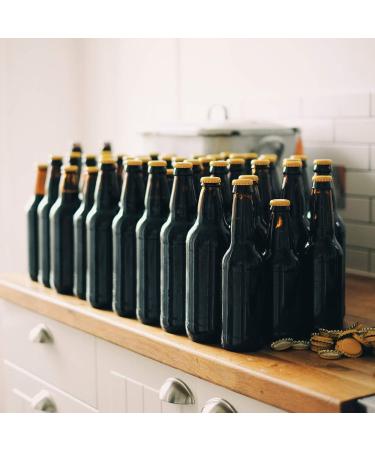 Lallemand Diamond beer yeast bottom fermentation yeast 11 g dry yeast for light warehouse lager export Classic yeast with neutral taste Ideal for hobby brewers - Buy Online on GoSupps.com