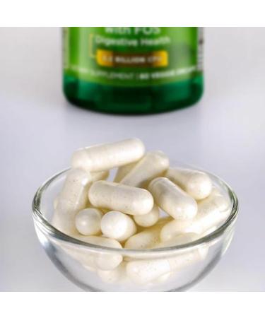 Swanson Dr. Stephen Langer's Formula - Natural Probiotic w/Prebiotic FOS - 16-Strain Supplement Promoting Digestive Support w/ 3.2 Billion CFU per Capsule - (60 Veggie Capsules) 2 Pack 60 Count (Pack of 2) - Buy Online on GoSupps.com