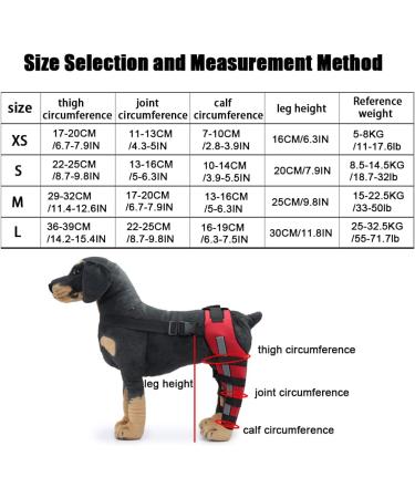 Dog Knee Brace Dog Double Rear Leg Brace with Metal Hinged Flexible Support and Reflective Seat Belts Dog Acl Brace Hind Leg|Red (S) - Buy Online on GoSupps.com