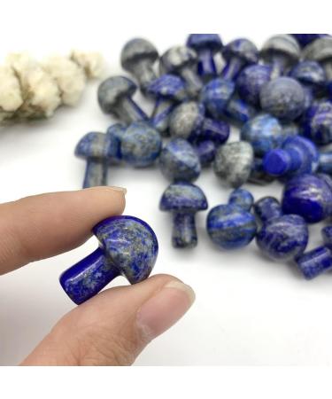 Natural Crystal Rough Home Decoration Natural Blue Lapis Lazuli Crystal Mushroom Shaped Polished QuartzStones Specimen Home Decoration Crystals Stones PEIQIYIN (Size : 1pc) - Buy Online on GoSupps.com