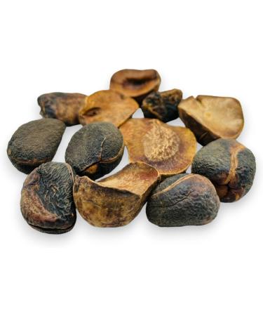 Whole Dried Kola Nuts 85g - 1 95Kg Premium Quality Cola Acuminata (85 Grams) - Buy Online on GoSupps.com