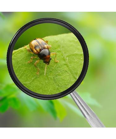 Meichoon 35x Hand Magnifying Glass with Metal Handle - Ideal for Antique Jewelry Crafts & Hobbies | 50mm Blue | Perfect for Older Children & Jewelers - Buy Online on GoSupps.com
