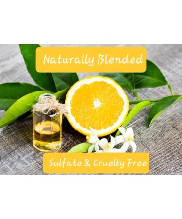 Buy Grapefruit & Sea Salt Body Butter 7.5 oz - Nourishing Moisturizer for Glowing Skin | International Shipping Available - Buy Online on GoSupps.com