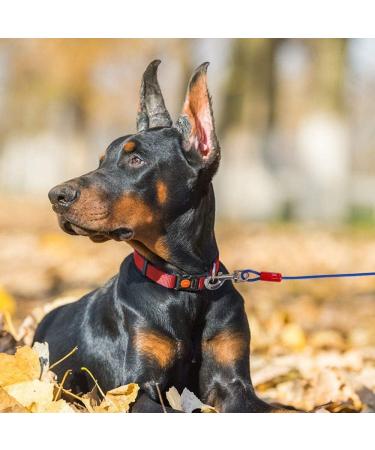 JVHLOV 33ft (10M) Dog Tie Out Cable Dog Cable Heavy Duty Tie-out Cable Tie-Out Cable for Dogs up to 120 lbs Suitable for all Breeds Dog Tether for Camping Yard Beach - Buy Online on GoSupps.com