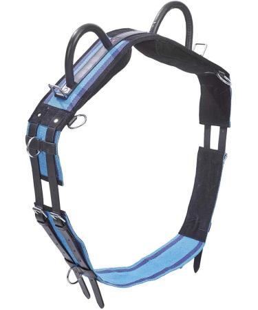 Shop Premium Lunging Girth for Warmbloods - Double Navy/Sky Blue - International Shipping Available - Buy Online on GoSupps.com