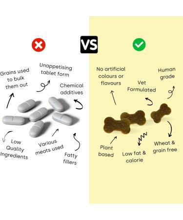 Scooch Anal Gland Supplement for Dogs | Human Grade Crunchy Chews | Stops Scooting & Itching | Plant-Based with Prebiotics | Promotes Digestion | Banana + Pumpkin Flavor - Buy Online on GoSupps.com