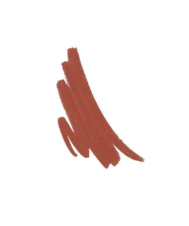 Rimmel Lasting Finish 8HR Lip Liner 110 Spice - Long-Lasting Formula - 0.04 Ounce - Buy Online on GoSupps.com