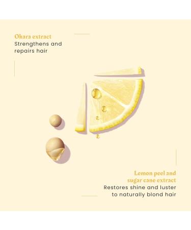 Ren Furterer - OKARA BLOND - Brightening Shampoo - Shampoo For Natural Highlighted & Bleached Blonde Hair - 200ml - Buy Online on GoSupps.com