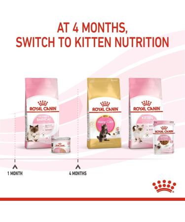 Royal Canin Mother & Babycat Mousse | 12 x 195 g | Complete Food for Cats | Especially for the Mother Cat and Her Puppies | To Support the Body's Defense - Buy Online on GoSupps.com