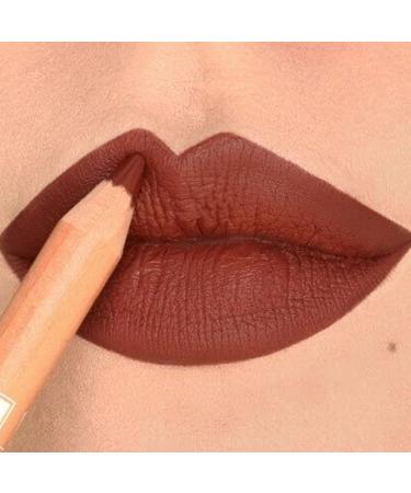 Astra Astra Pure Beauty Lip Liner (01 Mahogany) - Buy Online on GoSupps.com
