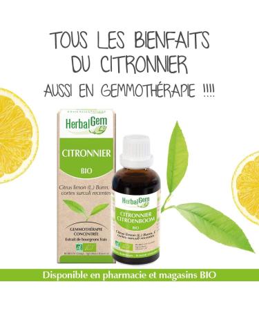HerbalGem Organic Lemon Tree Macerat-Mother of Gemmotherapy Concentrated 30 ml - Buy Online on GoSupps.com