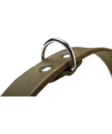 Buy HUNTER AALBORG Olive Leather Dog Collar Simple Robust & Comfortable for All Breeds (Size 60 L) - International Shipping Available - Buy Online on GoSupps.com