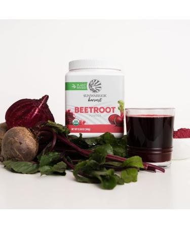 Beet Root Powder Increase Stamina Blood Flow Circulation Natural Nitric Oxide Non-GMO Keto Vegan Superfood for Smoothies Acai Pudding Baking 360g sq tub (90 SRV) Organic Harvest by Sunwarrior - Buy Online on GoSupps.com