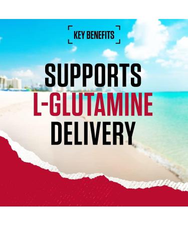 BSN DNA Glutamine Powder - L-Glutamine Amino Acid Supplement for Pre & Post Workout, 60 Servings, 309g - Unflavoured - Buy Online on GoSupps.com