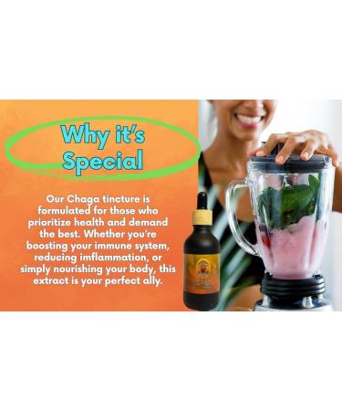 Sporenity Chaga Mushroom Extract Tincture 2oz (60ml)-Vegan-Non-GMO-antioxidant Immune System-Third Party Tested- Supplement - Buy Online on GoSupps.com