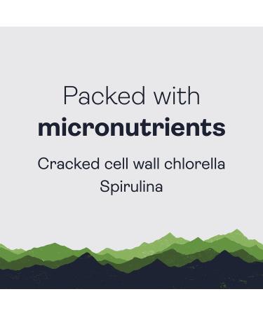 Gnarly Nutrition Performance Greens Superfood Powder - Lemon Mint 11.64 Oz (30 Servings) - Buy Online on GoSupps.com