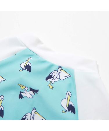 Bonverano Baby Boys Swimsuit - Pelican, 3-6 Months | UPF 50+ Sun Protection - Buy Online on GoSupps.com