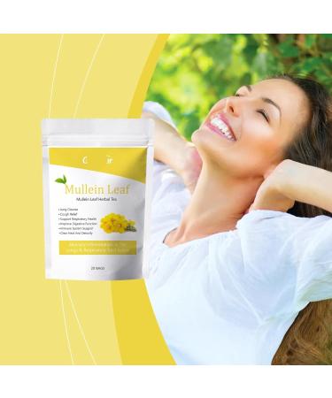 Sachets De Tisane Purifiante La Feuille Mol ne for Une Meilleure Fonction Pulmonaire. Th rapie Naturelle Le Corps Rafra chissante Et Facile Pr parer.(2PCS) - Buy Online on GoSupps.com