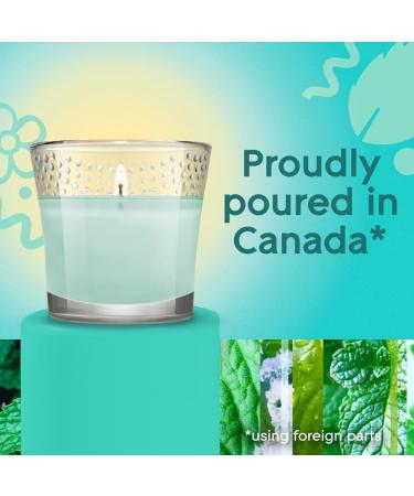 Glade Scented Candle Empower Mint Air Freshener Infused with Essential Oils 1-Wick Candle 1 Count - Buy Online on GoSupps.com
