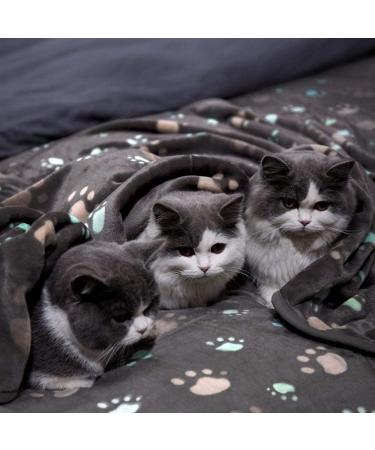 Allisandro Extra Soft Microplush Fleece Pet Blanket - Grey - 39 x 31 - Ideal for Dogs, Cats - Extra Softness for Small, Medium, Large Pets - Buy Online on GoSupps.com