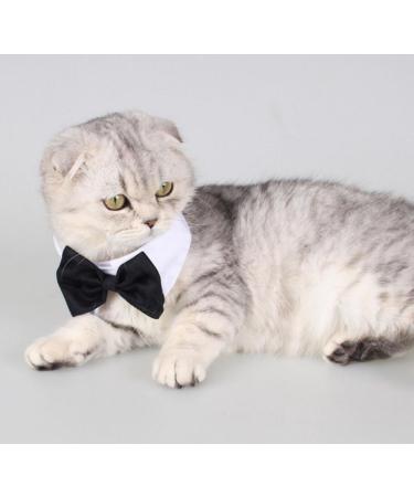 Adjustable DIYAFAS 2x Cotton Pet Fly Dog & Cat Formal Collar Necklace - Bowknot for Weddings & Parties - Buy Online on GoSupps.com