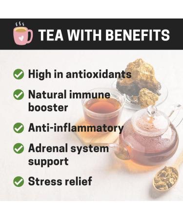 Cha-Cha Chaga Tea - 20 Tea Bags | Chaga Mushroom Tea with Cinnamon - Inonotus Obliquus - Wild-harvested Siberian Chaga Powder - Antioxidant Tea - Birch Moon Wellness Teas - Buy Online on GoSupps.com